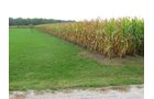 Property photo 21 - Real Estate Auction - 31+/- Acres Offered in 3 Tracts Including a 3-Bedroom Home